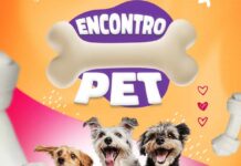 Via Café Shopping promove Encontro Pet com programação especial neste domingo (21) 3º Encontro Pet do Via Café Shopping Center acontece neste domingo