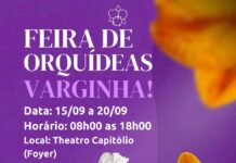 Feira de Orquídeas em Varginha segue até sábado Feira de Orquídeas de Varginha acontece no Theatro Capitólio