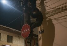 Polícia Militar prende homem em flagrante furtando fios elétricos no centro de Varginha Polícia Militar prende homem em flagrante furtando fios elétricos no centro de Varginha