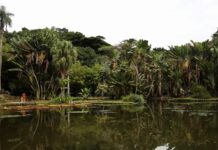 Últimos dias para participar do Concurso de Fotografia Limpa Brasil 2025 Imagem de uma paisagem