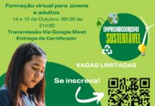 Cemig oferece curso gratuito sobre empreendedorismo sustentável com certificado Cemig oferece curso gratuito sobre empreendedorismo sustentável com certificado