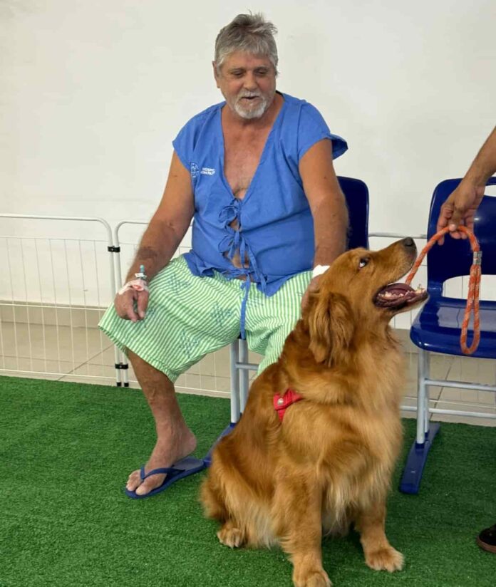 Espaço Pet do Hospital Bom Pastor leva alegria e humanização aos pacientes