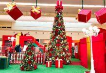 Shopping abre campanha Árvore Solidária para crianças do Recanto da Criança Feliz Foto: Decoração de natal 2025 - Divulgação Via Café Shopping Center