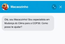 Chatbot usado na COP30 foi desenvolvido em parceria com o CEFET-MG Chatbot usado na COP30 foi desenvolvido em parceria com CEFET-MG