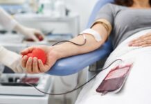 Hospital Bom Pastor faz apelo urgente por doação de sangue devido à queda crítica nos estoques Doação de sangue, imagem ilustrativa
