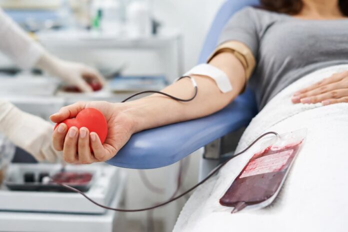 doação-de-sangue (2) Doação de sangue, imagem ilustrativa