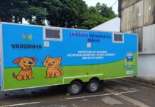 Vacinação gratuita contra cinomose em cães será realizada neste sábado em Varginha Vacinação gratuita contra cinomose em cães será realizada neste sábado em Varginha