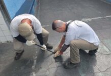 Prefeitura intensifica ações de prevenção contra escorpiões em escolas municipais prevenção contra escorpiões