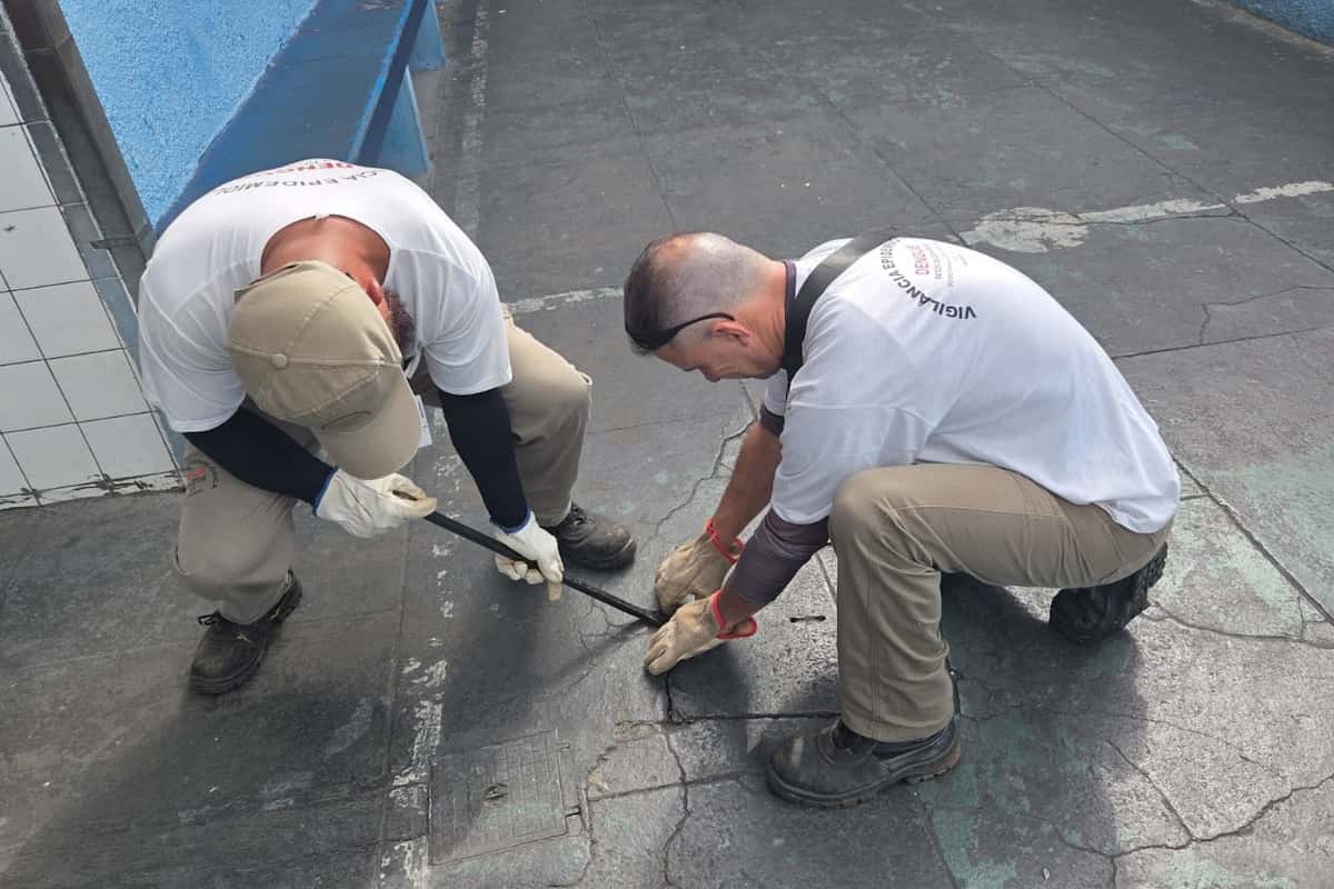 Prefeitura intensifica ações de prevenção contra escorpiões em escolas municipais