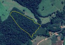 Varginha ganha área de Mata Atlântica para criação de parque ecológico municipal O município de Varginha ganhou uma área de mais de 44.000m² avaliada em mais de R$ 1,2 milhão, coberta por mata natural caracterizada como remanescente de Mata Atlântica.