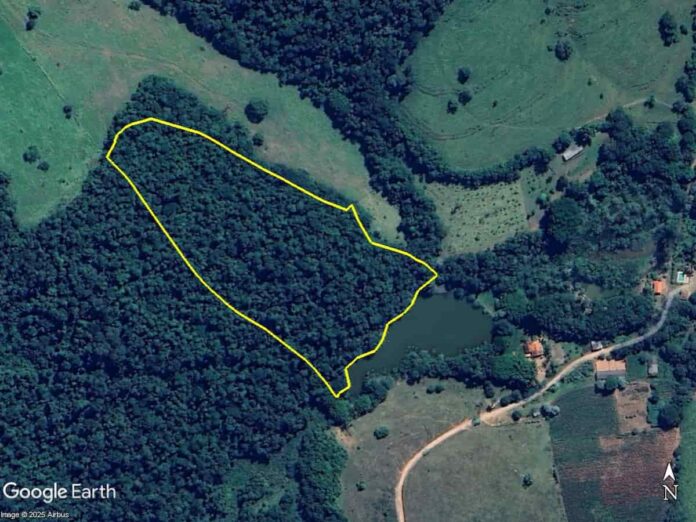 O município de Varginha ganhou uma área de mais de 44.000m² avaliada em mais de R$ 1,2 milhão, coberta por mata natural caracterizada como remanescente de Mata Atlântica. O município de Varginha ganhou uma área de mais de 44.000m² avaliada em mais de R$ 1,2 milhão, coberta por mata natural caracterizada como remanescente de Mata Atlântica.