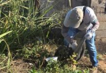 Equipe da Vigilância Ambiental de Varginha participa de treinamento para reforçar combate às endemias treinamento endemias