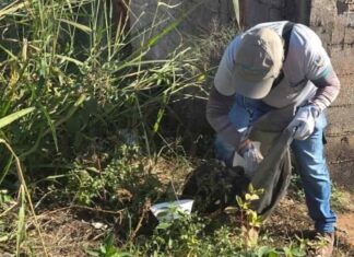 Equipe da Vigilância Ambiental de Varginha participa de treinamento para reforçar combate às endemias treinamento endemias