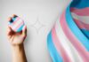 UFLA abre 45 vagas extras para pessoas trans em cursos de graduação Pessoas trans