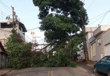 Varginha decreta situação de emergência após temporal que atingiu dezenas de bairros Situação de emergência em Varginha após temporal e vendaval