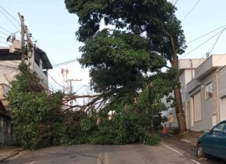 Varginha decreta situação de emergência após temporal que atingiu dezenas de bairros Situação de emergência em Varginha após temporal e vendaval