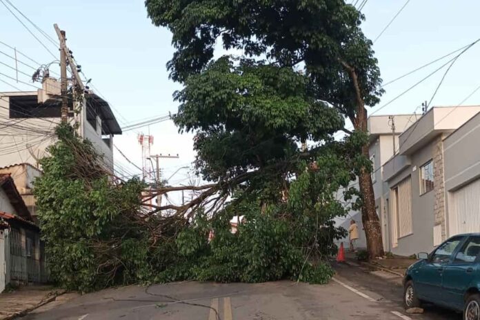 Situação de emergência em Varginha após temporal e vendaval