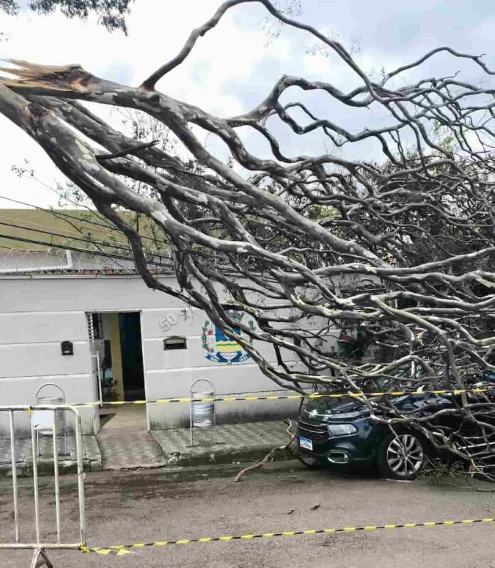 arvore-caida-temporal-radio-melodia (1) Árvore caiu sobre a rede elétrica que atende a Rádio Melodia FM, deixando a emissora temporariamente fora do ar após o temporal em Varginha. Foto: Fundação Cultural de Varginha/Divulgação