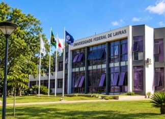 UFLA abre 588 vagas para mestrado e doutorado com ingresso em 2027 Universidade Federal de Lavras UFLA
