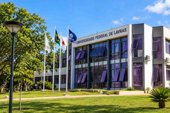 Universidade Federal de Lavras UFLA