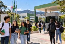 Vestibular IFSULDEMINAS abre 3.726 vagas em 83 cursos gratuitos para 2027 Vestibular alunos