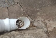 Suspeita de envenenamento de gatos em Varginha é investigada após denúncia na Vila Ipiranga Comedouro de gatos envenenados