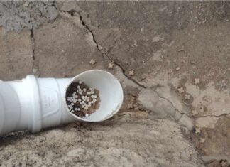 Suspeita de envenenamento de gatos em Varginha é investigada após denúncia na Vila Ipiranga Comedouro de gatos envenenados